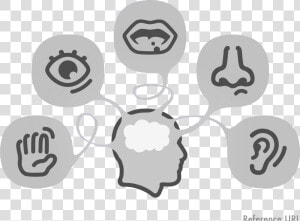 Sight  Hearing  Taste  Smell   HD Png Download