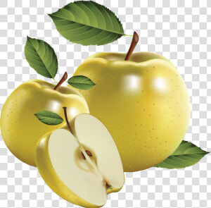Green Apple S Png Image   Realistic Fruit Vector  Transparent Png