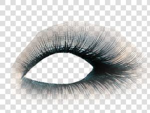 Eyeshadow Eyelashes Lashes Lash   Eye Makeup Transparent Background  HD Png Download