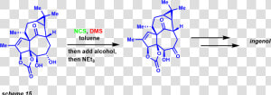 Corey Kim Ox Synthesis Example15  HD Png Download