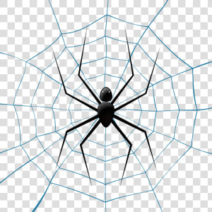 Spider Web Theridiidae Euclidean Vector Illustration   Fondo Azul Con Telaraña  HD Png Download