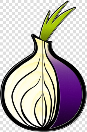 Onion Layers Png  Transparent Png
