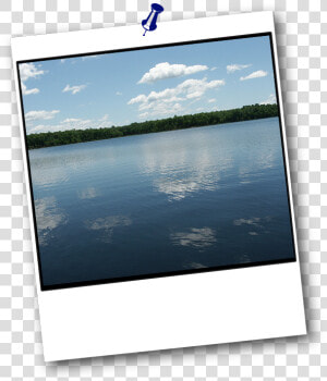 Reflection  HD Png Download