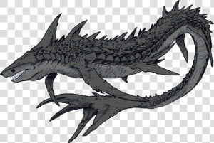 Shark Dnd  HD Png Download