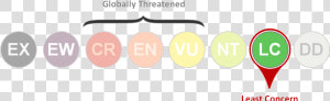 Iucn Transparent Least Concern  HD Png Download
