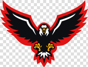 Bald Eagle   Png Download   Bald Eagle  Transparent Png