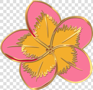 Plumeria Flower Pin   Illustration  HD Png Download