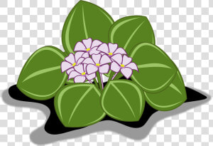 Clipart Gratis De Flores  HD Png Download