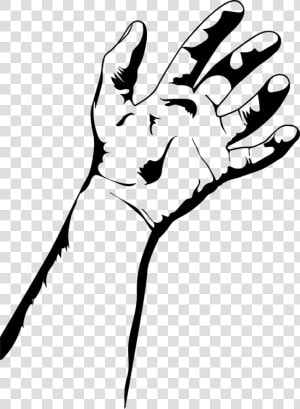 Line Art thumb coloring Book   Hand Drawing Clipart  HD Png Download