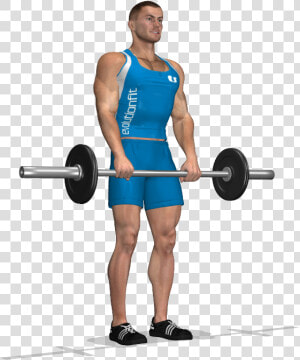 Transparent Deadlift Png   Stacchi A Gambe Tese  Png Download