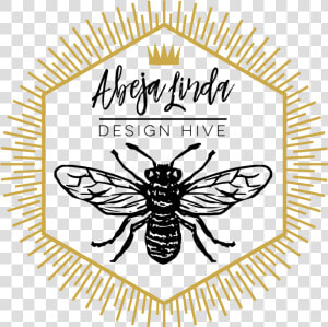 Abeja Linda Design Hive Logo   Pasquini Coffee  HD Png Download