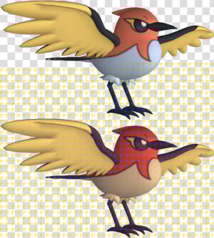 Download Zip Archive   European Robin  HD Png Download