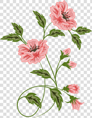 Botanical Vector Botany   Vector Floral Png  Transparent Png