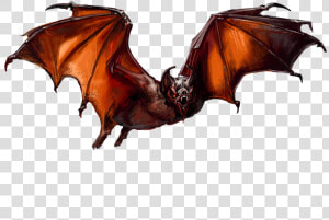 Dnd Bat  HD Png Download