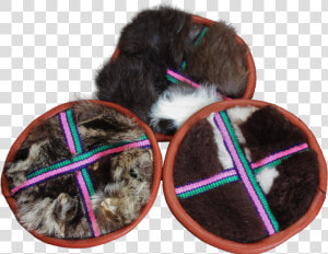 Fur Flinger Dog Toy   Png Download   Companion Dog  Transparent Png