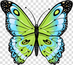 Clip Art Beautiful Moths   Butterfly Drawing Green  HD Png Download