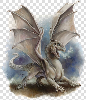 D amp d White Dragon Wyrmling  HD Png Download
