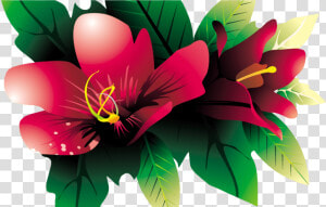 Images Of Tropical Flower Vines For Free Download On  HD Png Download