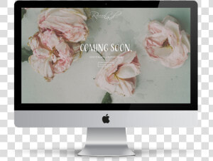 Reeceland   Beautiful Dying Flowers  HD Png Download