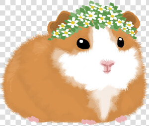 Transparent Flower Crowns Png   Draw A Cute Guinea Pigs  Png Download