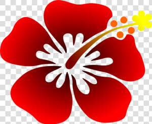 Hibiscus plant flora  HD Png Download