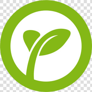 Branding Icon Png  Transparent Png