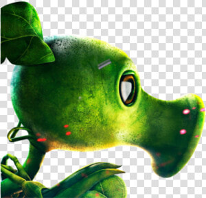 Plants Vs Zombies Garden Warfare Logo Png   Plants Vs Zombies Warfare Png  Transparent Png