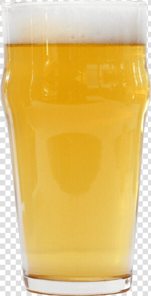 Oh My Gatos Golden Ale  HD Png Download