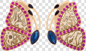 Mariposa Png  Transparent Png