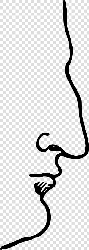 Roman Nose   Aquiline Nose  HD Png Download
