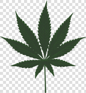 Marijuana  Leaf  Green  Pot  Cannabis  Plant  Leaves   Marijuana Leaf Clipart  HD Png Download