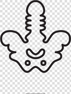 Hip Bones Coloring Page   Cadera Para Colorear  HD Png Download