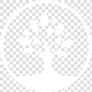 Tree Top Pediatric Logo  HD Png Download