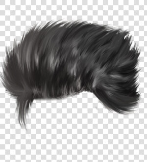 Hair Png   Hair For Editing In Picsart  Transparent Png