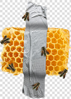 Beehive Pattern Png  Transparent Png