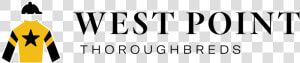 Wpt  HD Png Download