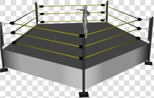 Wwe Ring Png   Five Sided Wrestling Ring  Transparent Png