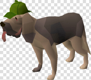 Old School Runescape Wiki   Osrs Clue Scroll Pet  HD Png Download