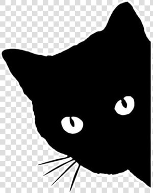 Black Cat Kitten Clip Art Silhouette   Black Silhouette Cat Transparent Background  HD Png Download