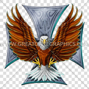 Transparent Flying Eagle Clipart   Bald Eagle  HD Png Download