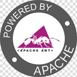 Apache Ant  HD Png Download