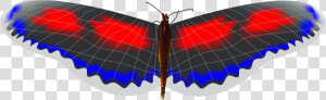 Hormiga Png  Transparent Png