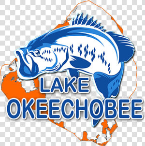 Lake Okeechobee Bass Fishing   Graphic Design  HD Png Download