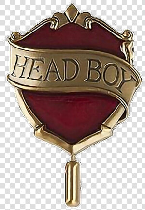  moodboard  png  filler  nichememe  polyvore  gryffindor   Head Boy Badge Harry Potter  Transparent Png