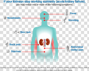 Kidney Disease Symptoms  HD Png Download
