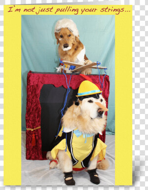 Marionette Puppet Show Birthday Greeting Card   Costume  HD Png Download