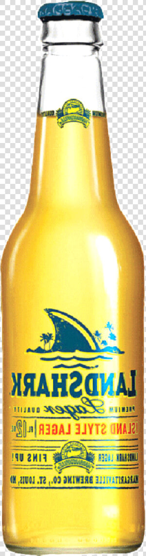 Beer Spill Png  Transparent Png