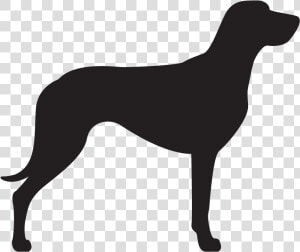 German Shorthaired Pointer Silhouette  HD Png Download