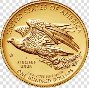 Gold Coin Png Image   American Liberty 2019 High Relief Gold Coin  Transparent Png
