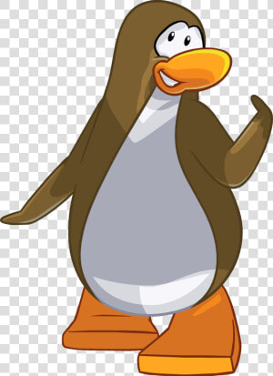 Brown Club Penguin Cutouts  HD Png Download